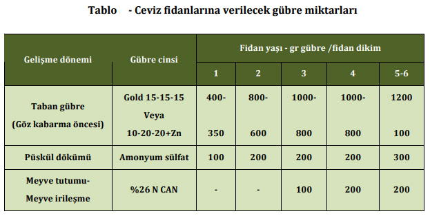 Ceviz Fidanı Gübrelemesi