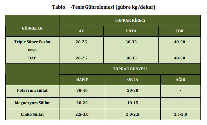 Ceviz Ağaçlarının Toprak İstekleri