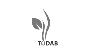 todab